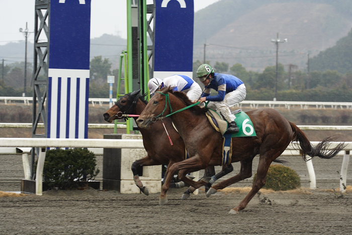 2008年1月20日（日） 高知競馬 1R_a0077663_1651108.jpg