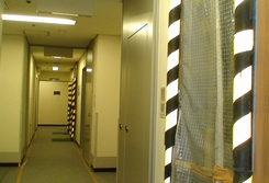 トイレ難民のお話(Ⅱ) 2008年2月1日_d0083265_05265.jpg