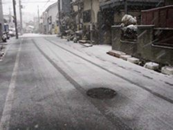d0152269_210145.gif