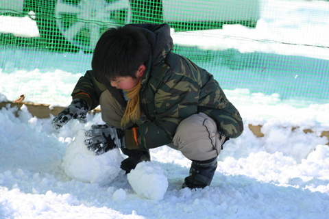 雪のＲＵＮ♪_a0018671_17441255.jpg