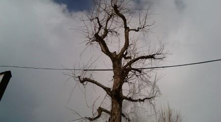 e0090584_15266.jpg