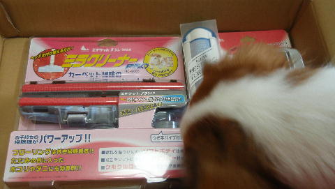 c0075585_023725.jpg