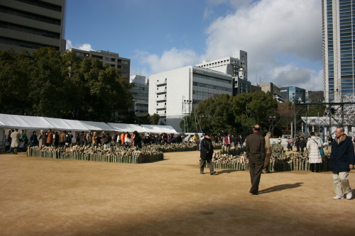 震災から13年 阪神淡路大震災1.17のつどい_b0118987_801950.jpg