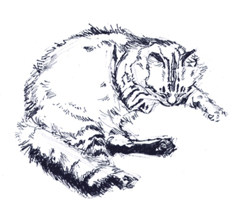 b0107891_3471577.gif