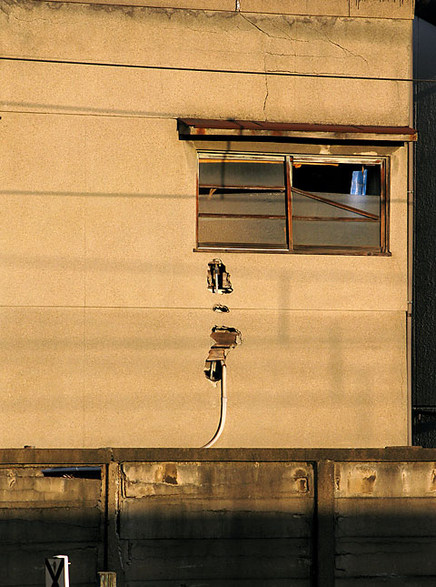 d0069495_1056138.jpg