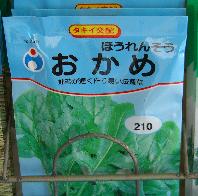 種の機嫌_e0077899_553384.jpg