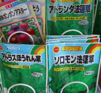 種の機嫌_e0077899_5542335.jpg