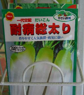種の機嫌_e0077899_557471.jpg