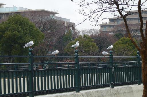 a0018200_9305921.jpg