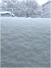 雪降った、積もった、投げた、筋肉痛なった。_b0067302_22515754.jpg