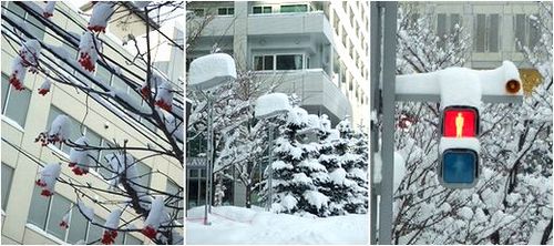 雪降った、積もった、投げた、筋肉痛なった。_b0067302_23264827.jpg