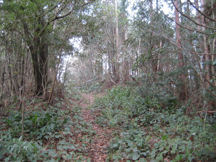 「七高山巡り」　完結への道…_d0152306_1162467.jpg