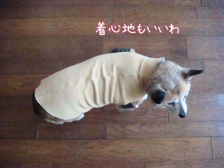 卯月のニューファッション_f0064906_22373572.jpg