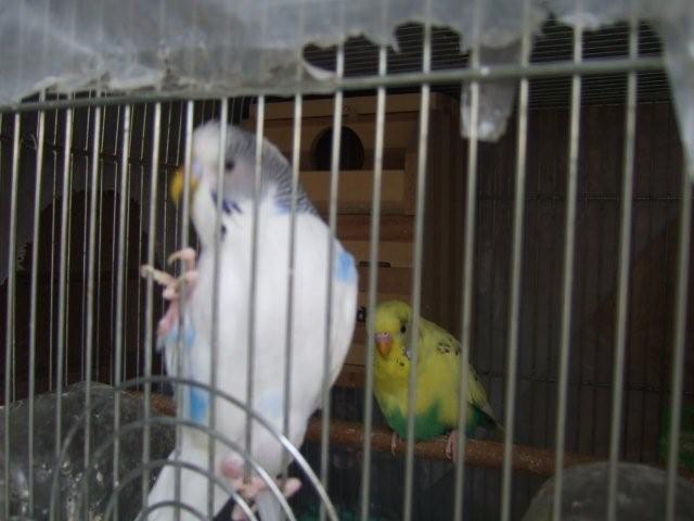 c0133013_026254.jpg