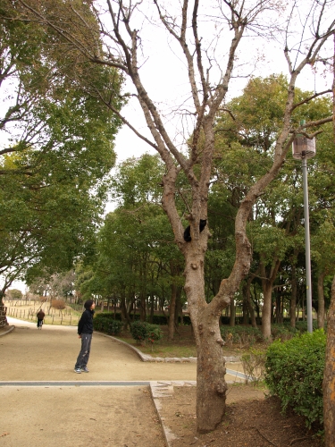 c0136217_2394255.jpg
