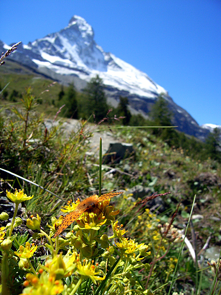 d0054625_2214187.jpg