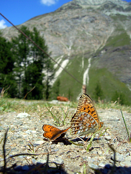 d0054625_22272918.jpg