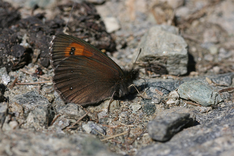 d0054625_22493490.jpg
