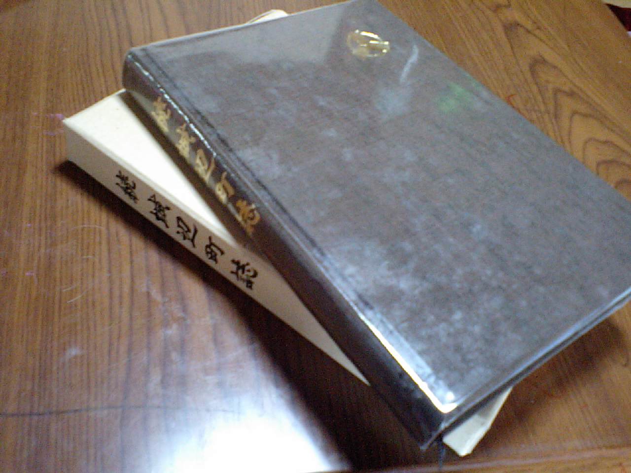c0117028_1849321.jpg