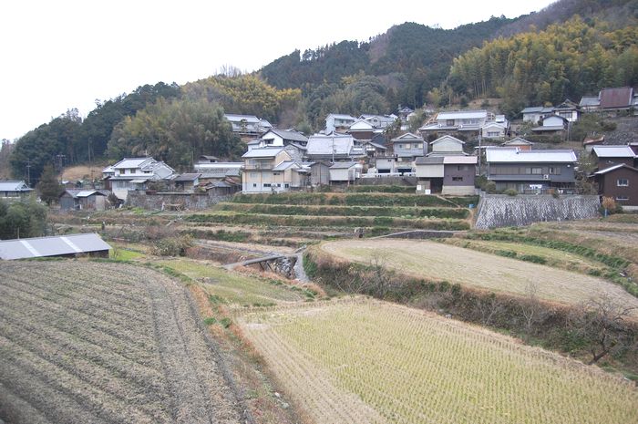 明日香（飛び飛び）探訪（08.01.20）⑧飛鳥川の「飛び石」・・・_a0016431_146352.jpg