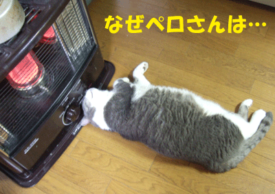 f0008935_12503883.gif