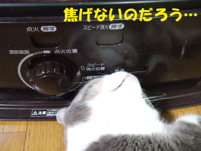 f0008935_12505484.gif