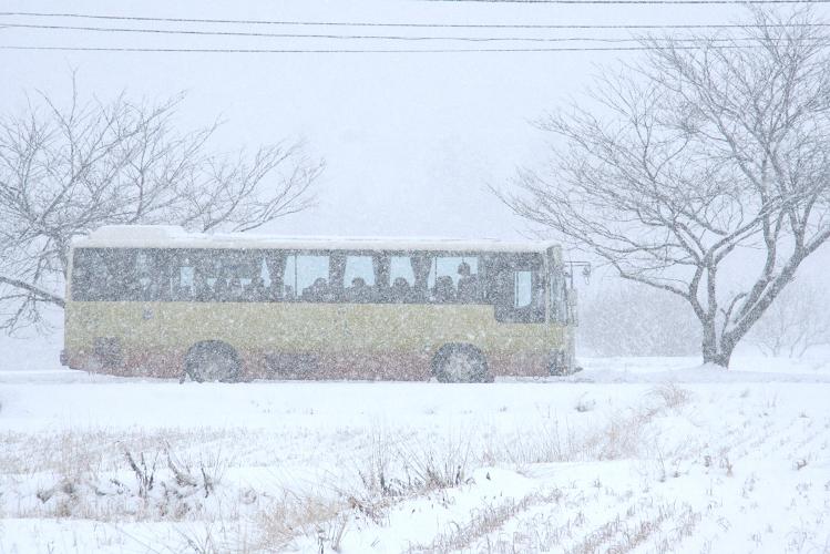 吹雪の中に_e0090638_1532111.jpg