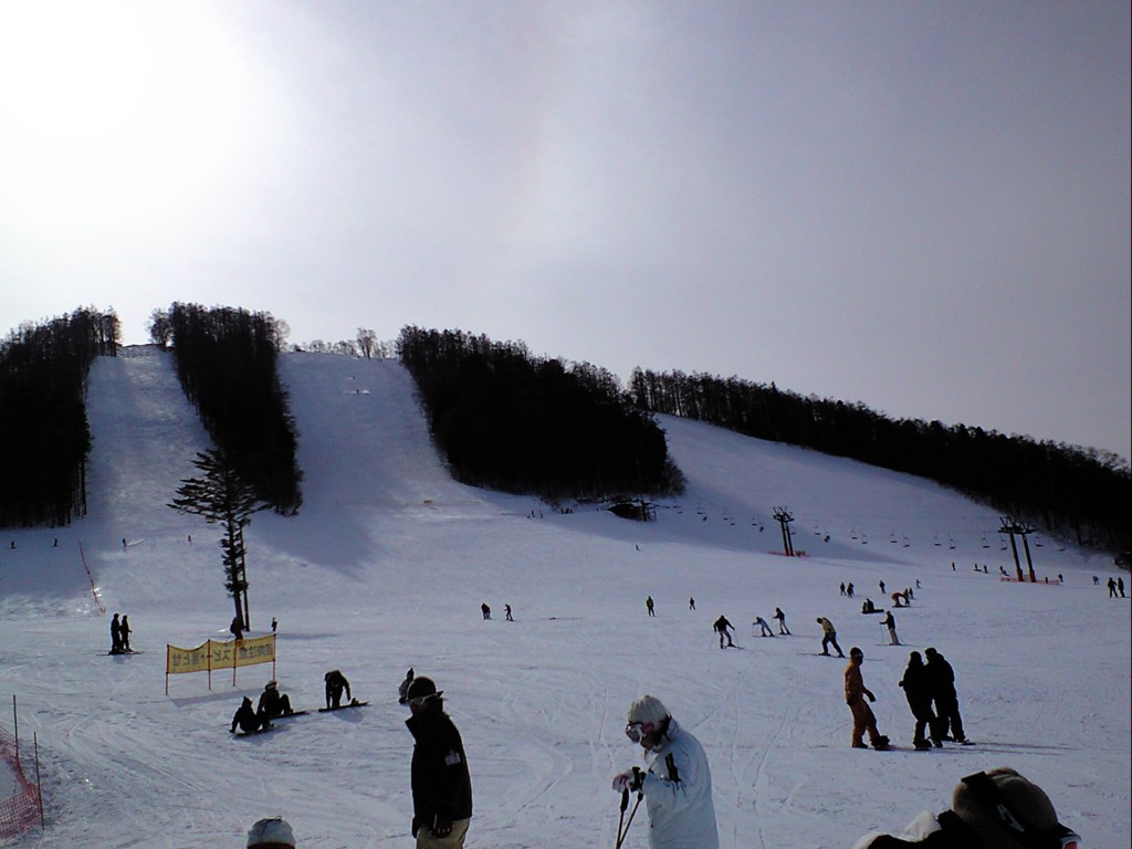 d0117039_16295920.jpg