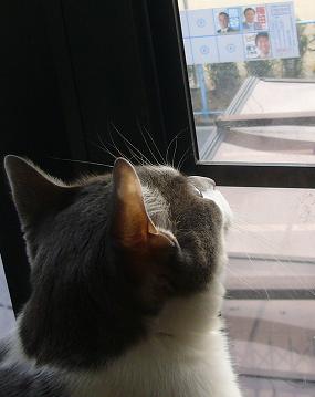 寒い~_f0002743_12405468.jpg