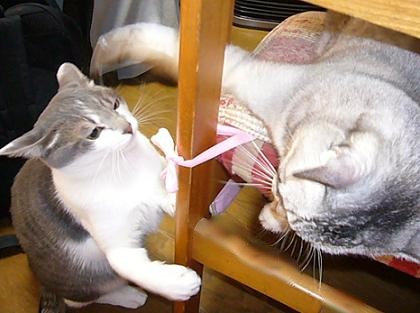 寒い~_f0002743_125464.jpg