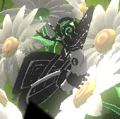 f0031243_17583852.jpg