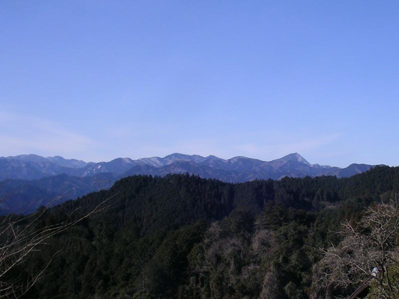 c0045352_1562319.jpg