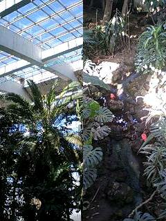 e0045856_20532440.jpg