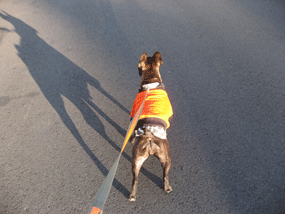 a0103357_1921481.gif