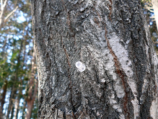 d0019074_17211799.jpg
