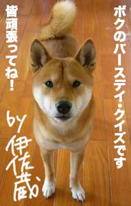 いっちゃんのバースデイイベント 柴と徒然日記