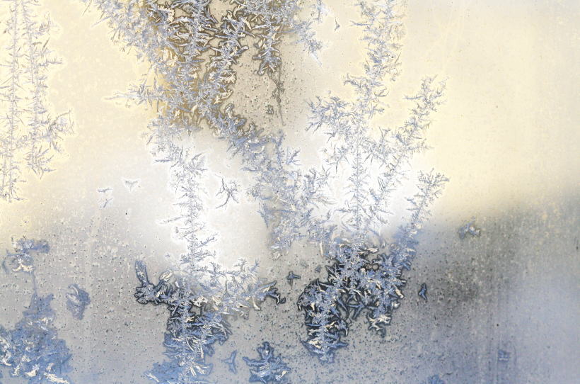 c0112479_8555373.jpg