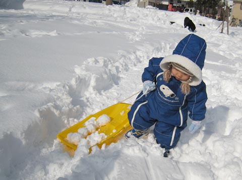 ジュニア、雪遊びをする。_d0081481_20111732.jpg