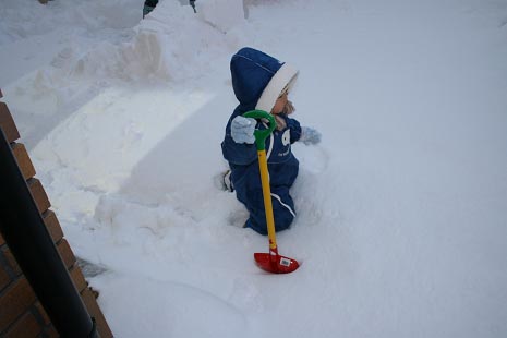 ジュニア、雪遊びをする（その2）_d0081481_2048049.jpg