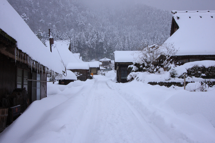 雪の美山 かやぶきの里_e0051888_19214557.jpg