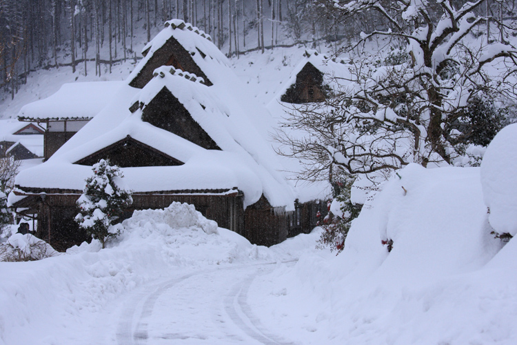 雪の美山 かやぶきの里_e0051888_192237.jpg