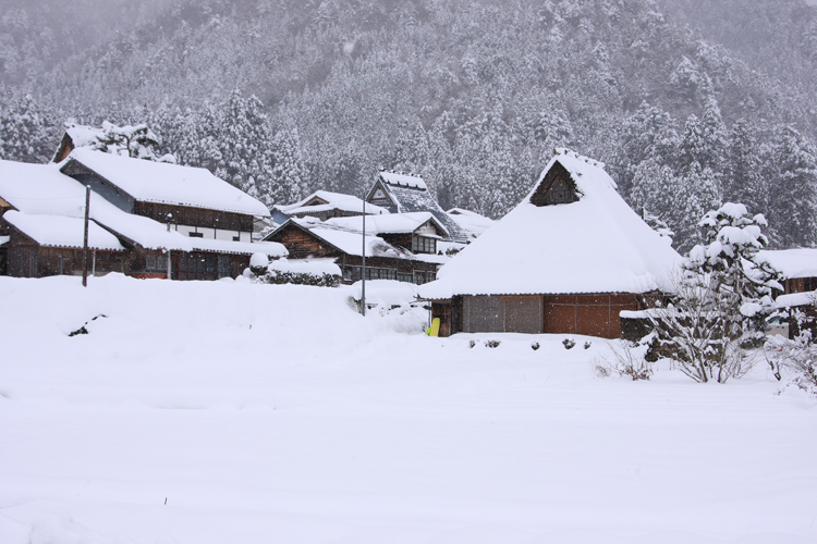 雪の美山 かやぶきの里_e0051888_19224582.jpg
