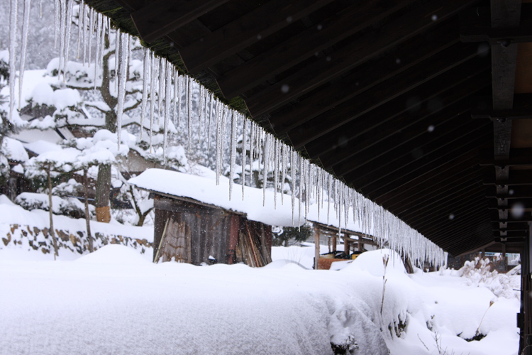 雪の美山 かやぶきの里_e0051888_19232210.jpg