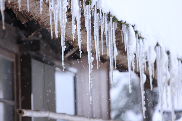 雪の美山 かやぶきの里_e0051888_1923368.jpg