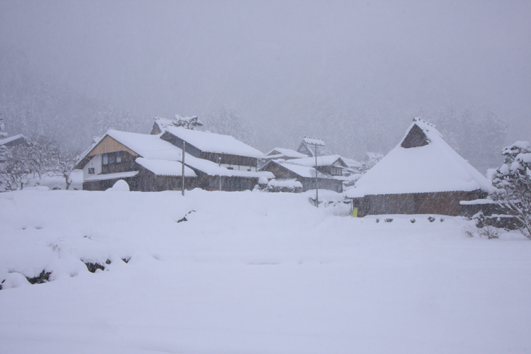 雪の美山 かやぶきの里_e0051888_1923914.jpg