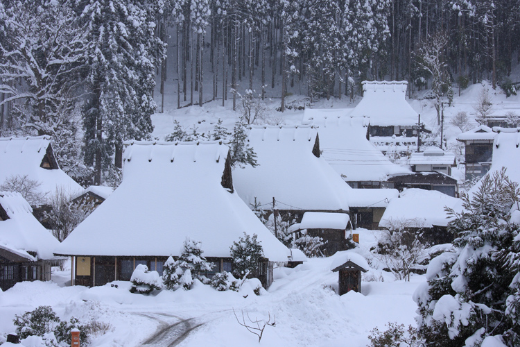 雪の美山 かやぶきの里_e0051888_19242295.jpg