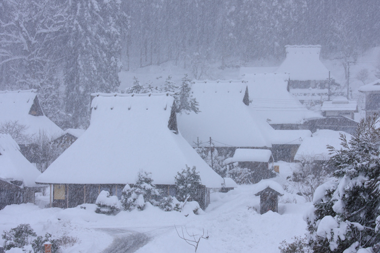 雪の美山 かやぶきの里_e0051888_19244385.jpg