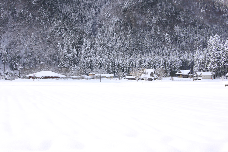 雪の美山 かやぶきの里_e0051888_1924698.jpg