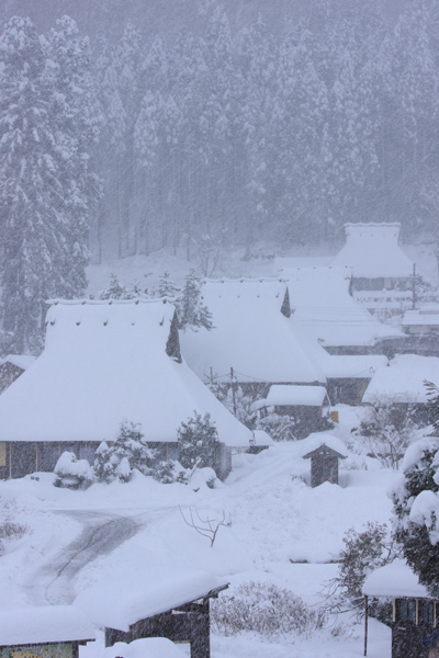雪の美山 かやぶきの里_e0051888_19254739.jpg