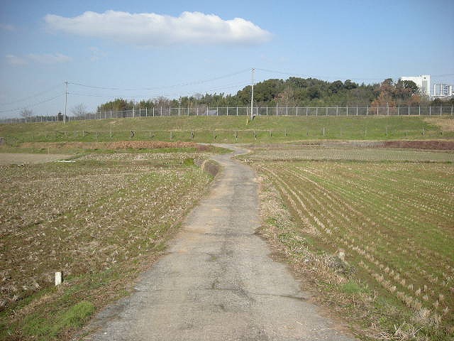 d0140291_22583136.jpg
